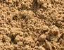 Sandy Loam (Screened)